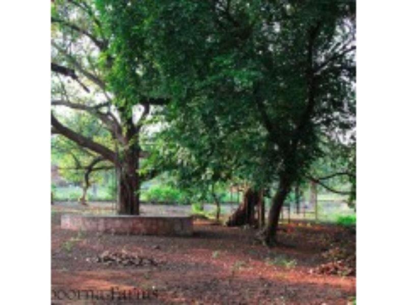 Annapoorna Farms Villa 6Bhk Khopoli Εξωτερικό φωτογραφία